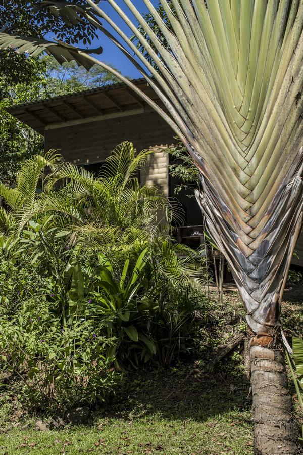 Blanconejo De Montezuma Villa Exterior photo